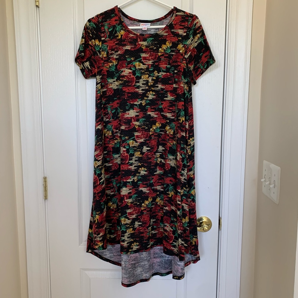 NWOT LuLaRoe Carly Dress: XS Abstract Rose Pattern